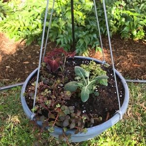 Meet your Posher, Laura